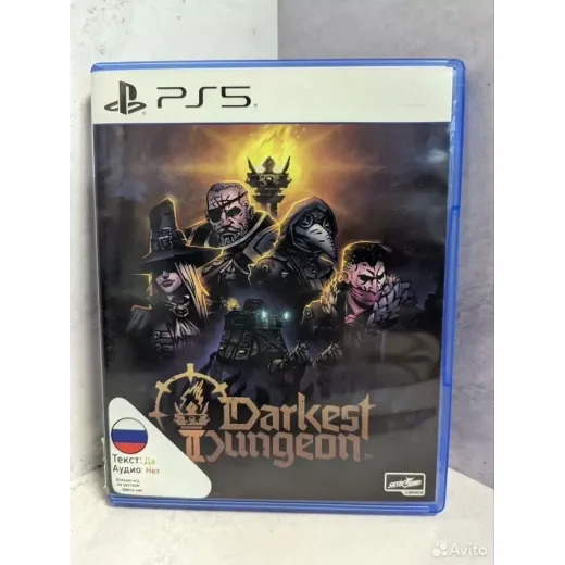 Darkest Dungeon PS5 (ppsa-19591) — 7838124721 (Игры PlayStation 5)