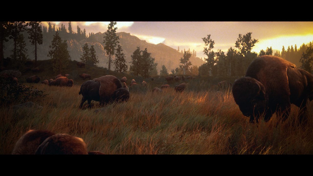 Hunting Simulator 3 — кадр из игры